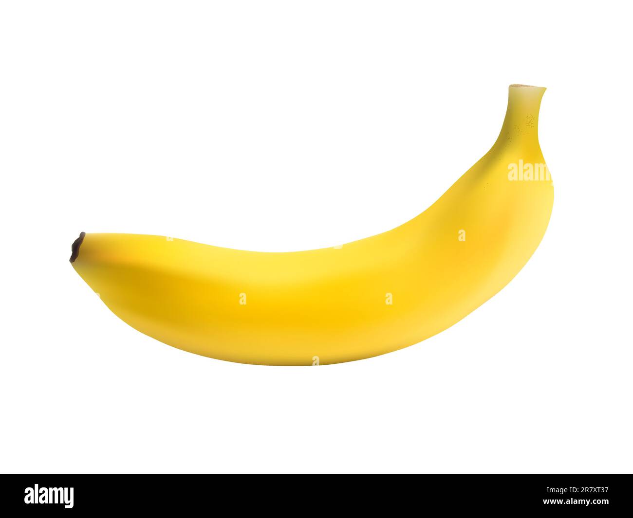 Photo Realistic Banana Isolated on White Stock Vector