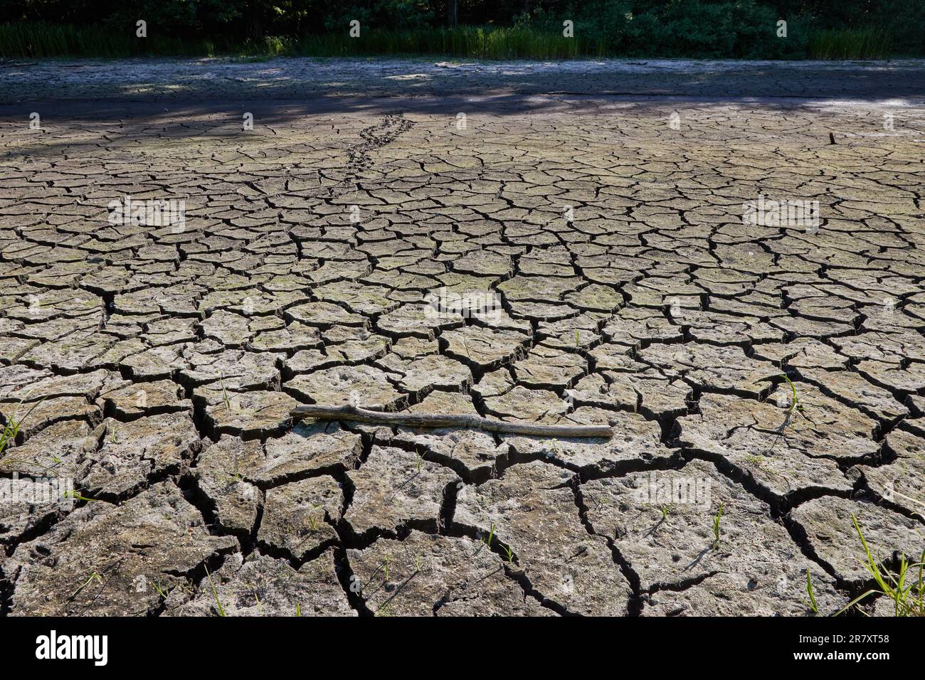 Lottbek dam hires stock photography and images Alamy