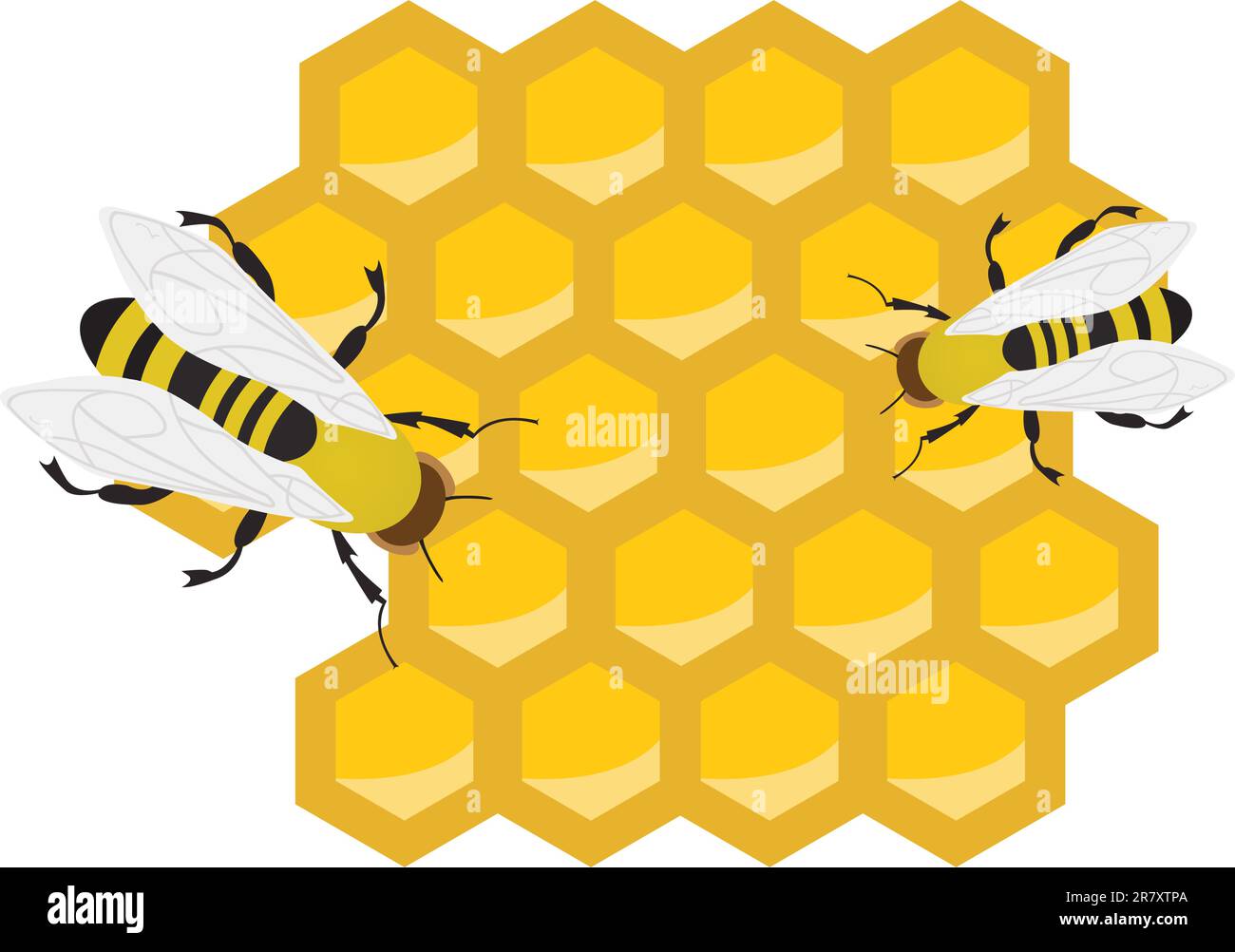 Honeycomb and bees. Vector illustration for you design Stock Vector ...