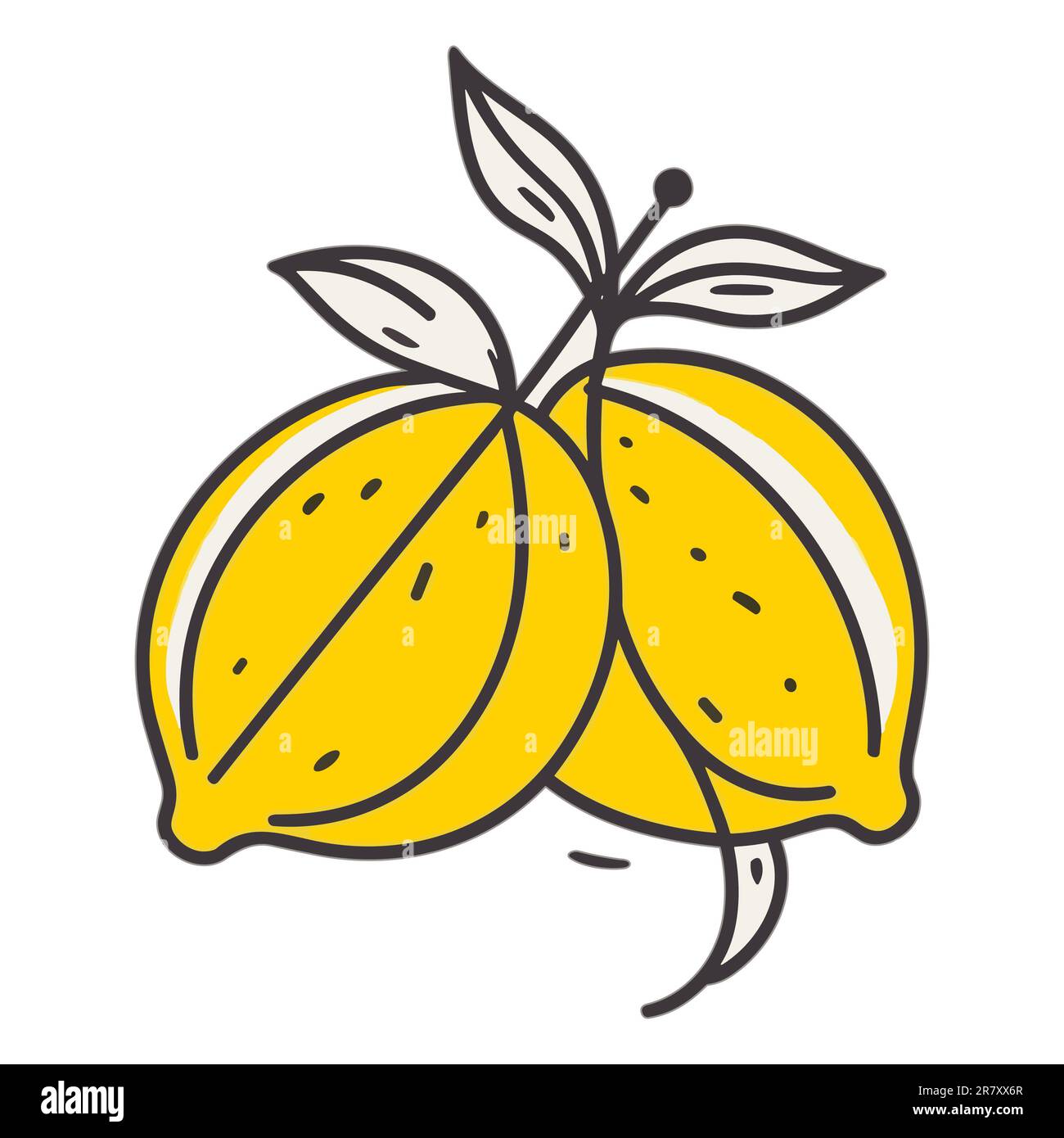 Lemon Line Drawing Illustration - Vector Illustration Stock Photo