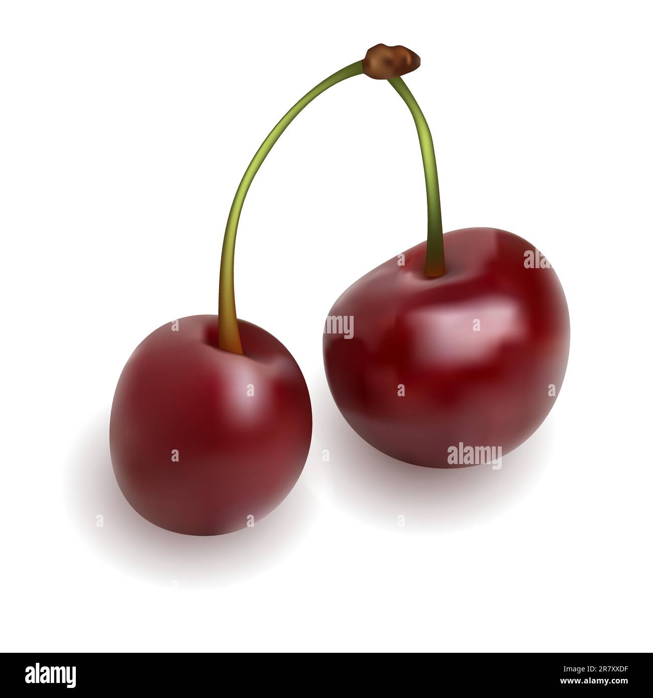 Two cherries Stock Vector