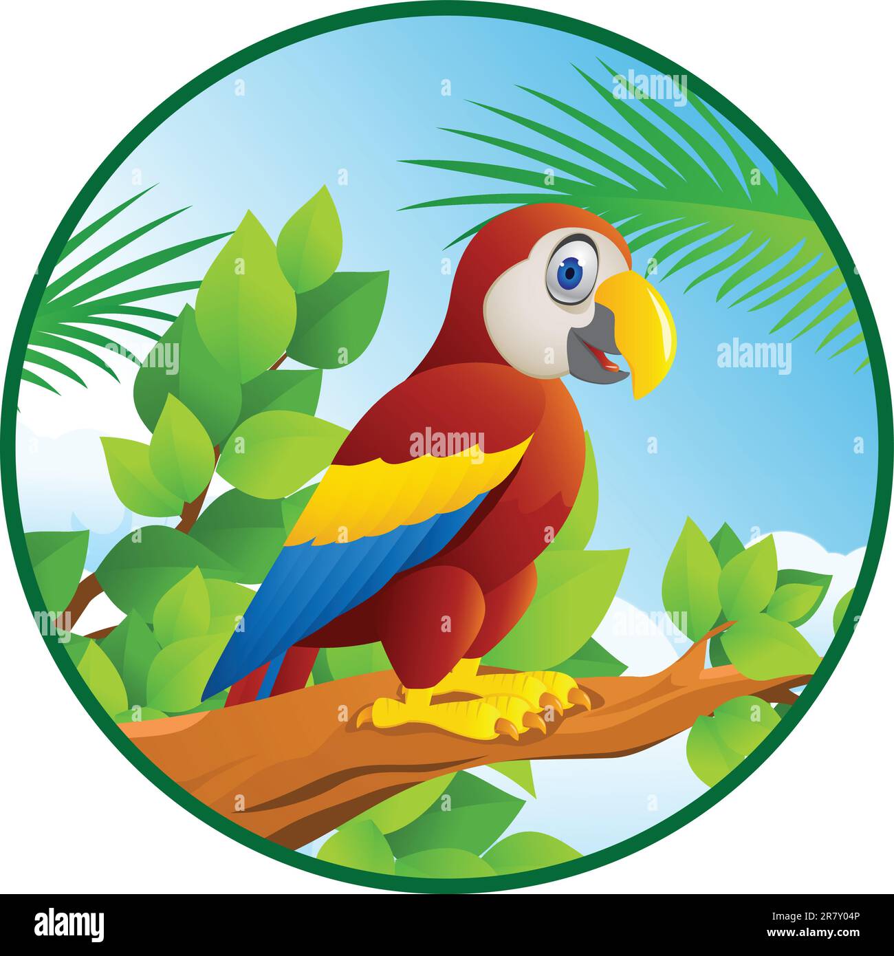 Vector Illustration Of Macaw Bird Isolated Stock Vector Image & Art Alamy