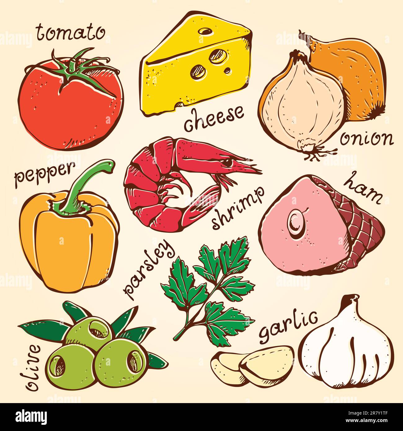 Food set pizza ingredients on a beige background Stock Vector Image