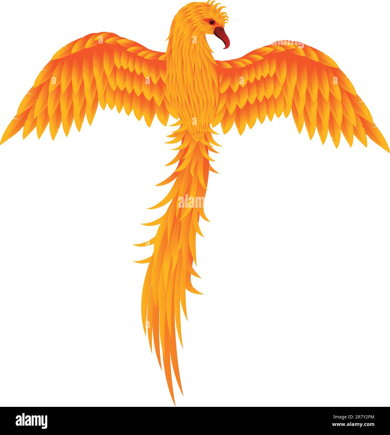 Phoenix wing detail hi-res stock photography and images - Alamy