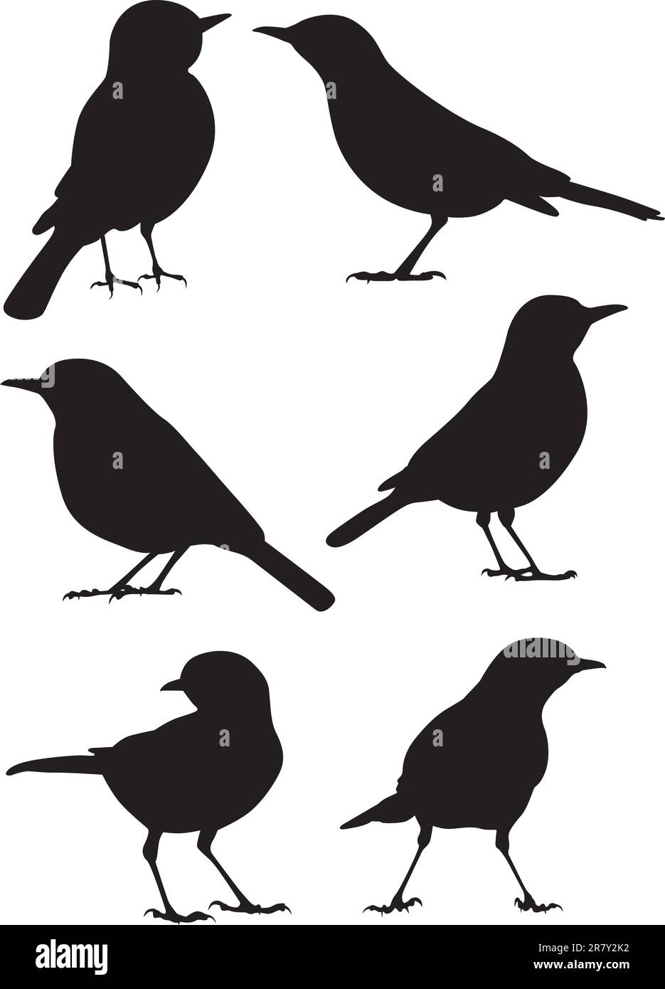 Birds Silhouette - 6 different vector illustrations Stock Vector Image