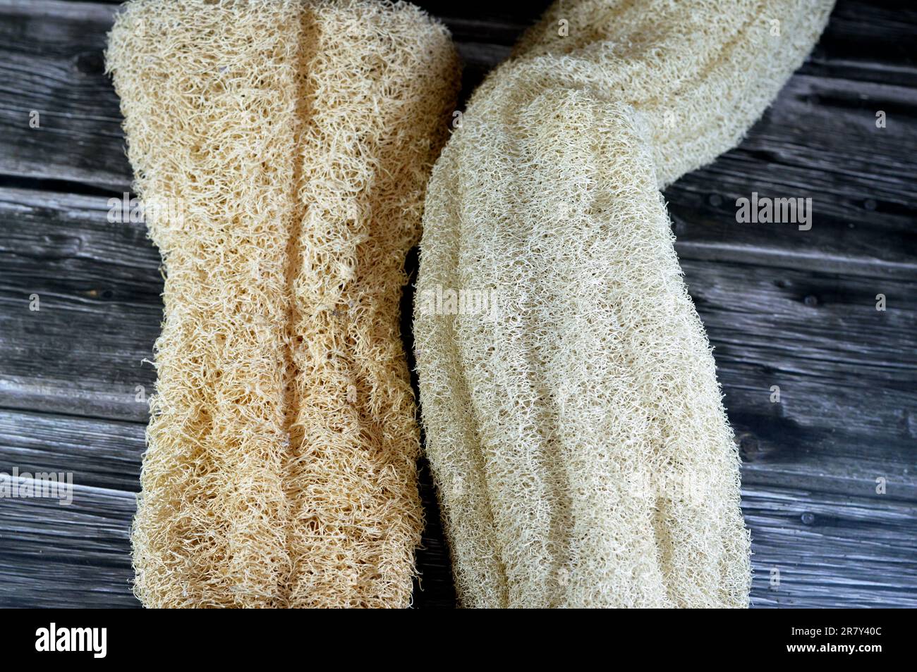 Natural Loofah Sponges Bath Sponge Natural Organic Egyptian Loofah Sponges  Exfoliating Shower Loofah Body Scrubbers Natural Bath Shower Sponge Beige 3