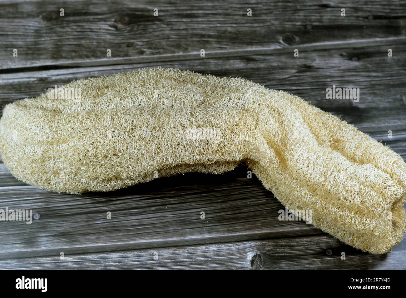 A bathroom loofa sponge, Loofah, Luffa, atropical and subtropical vines