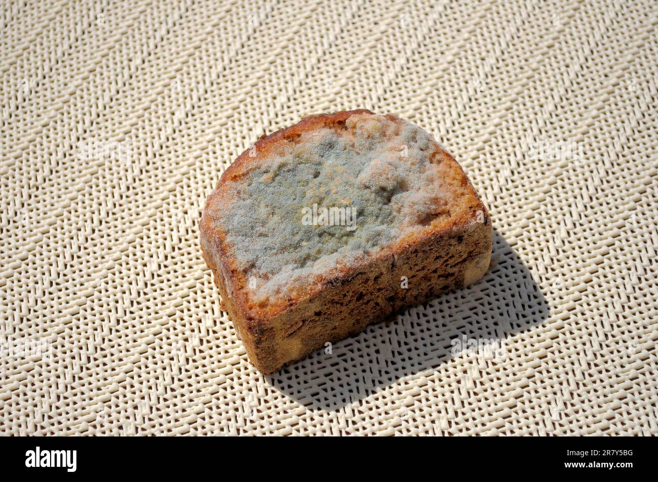Mould on bread, mouldy bread Stock Photo Alamy