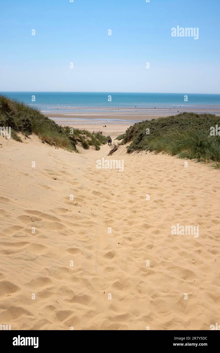 Camber Sands beach East Sussex , England , UK - The famous picturesque beautiful beaches on a hot sunny summer day along the South Coast  Credit Simon Dack Stock Photo