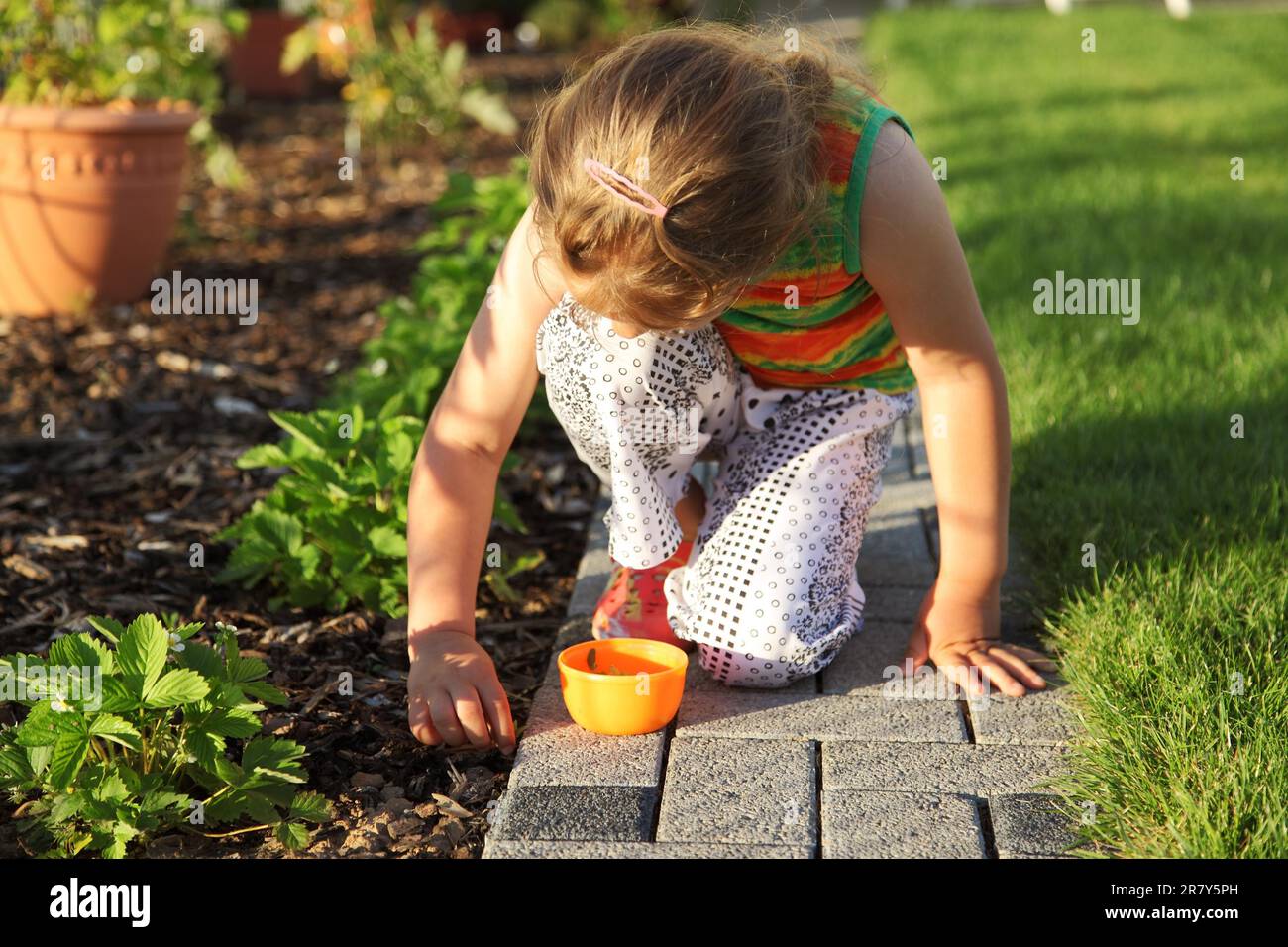 Weed out of roof hi-res stock photography and images - Alamy