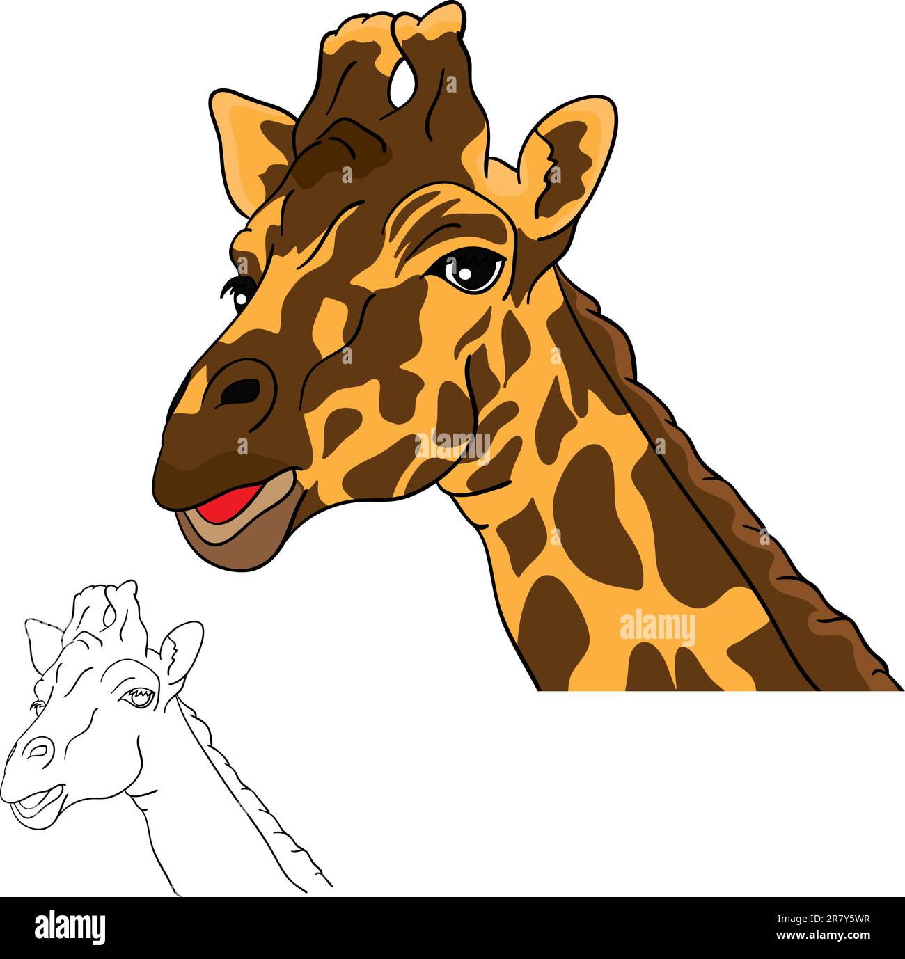 vector - portrait, giraffe head isolated on white background Stock ...