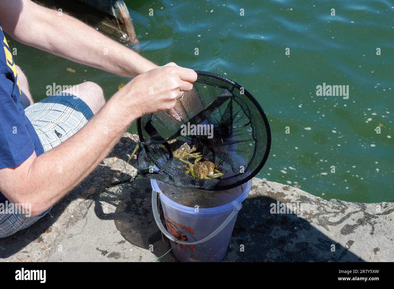 Dad crab fishing hi-res stock photography and images - Alamy