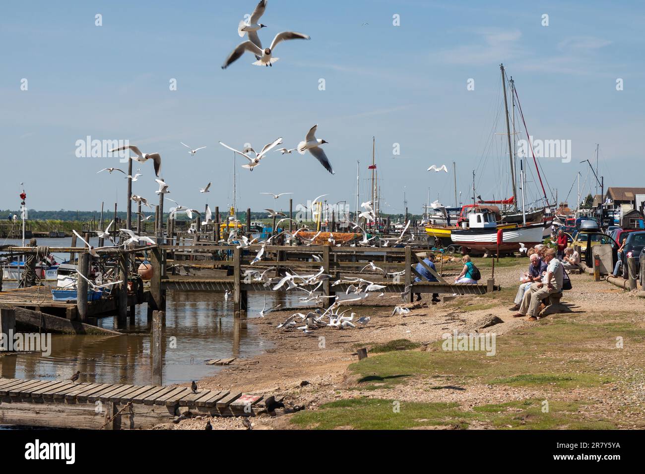 Southwold fish and chips hires stock photography and images Alamy