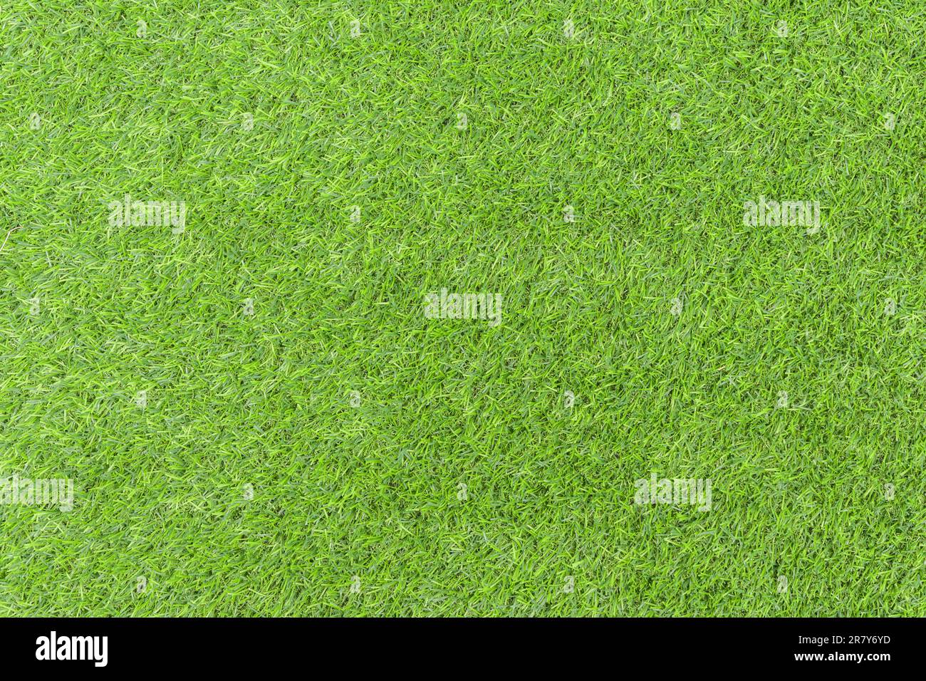 Green grass carpet floor texture hi-res stock photography and images ...