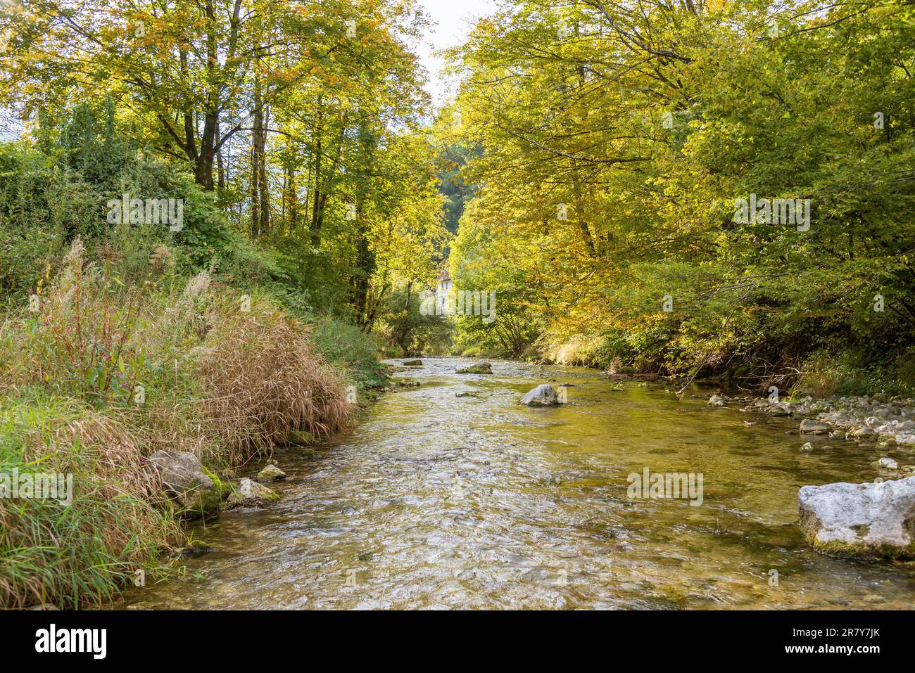 The Gaflenz mountain stream in the Hintergebirge or the Limestone Alps near the small town Weyer in Upper Austria. The creek leads to the river Enns Stock Photo