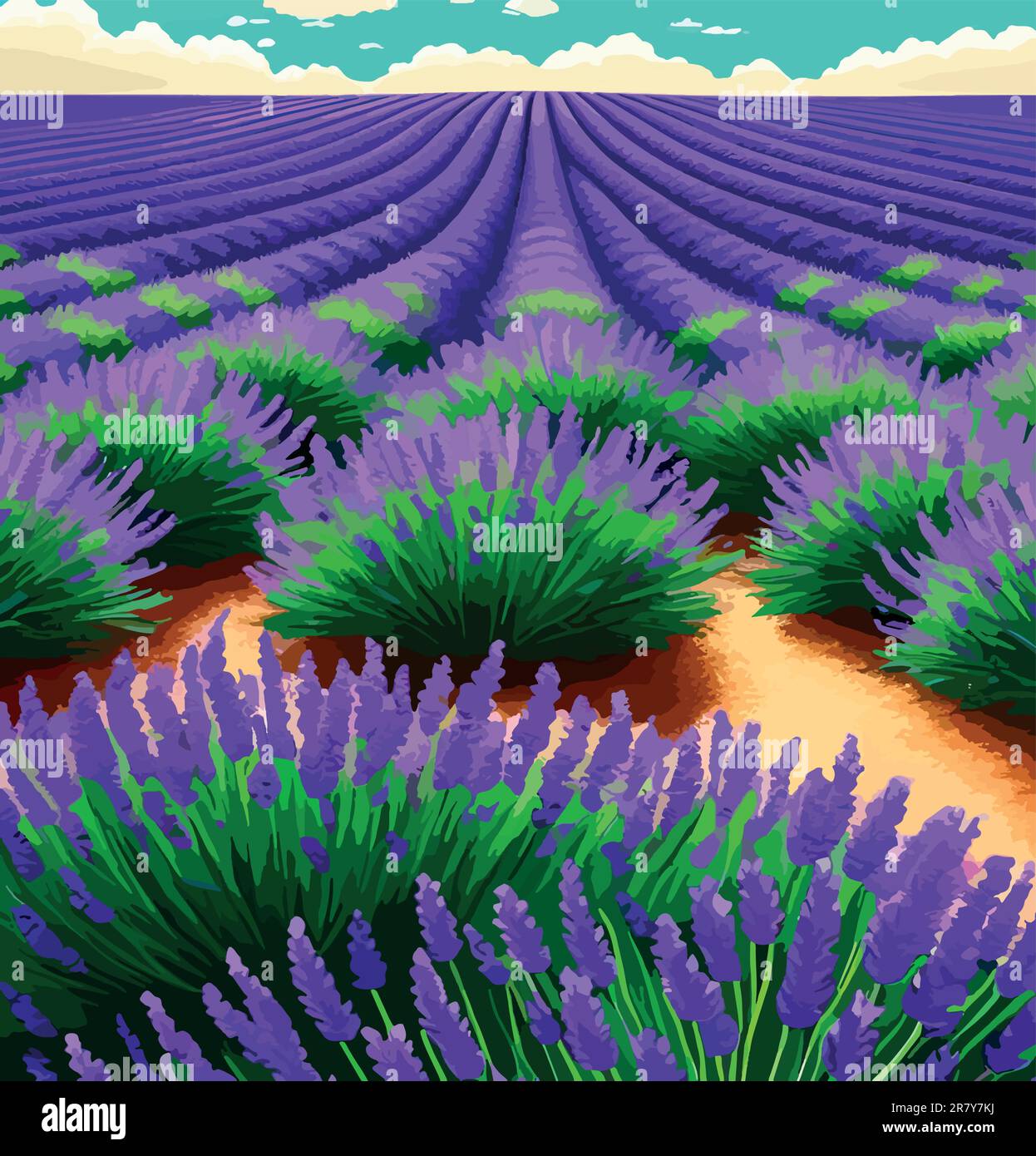 A Serene Experience.The Enchanting Beauty of Lavender Fields Stock 