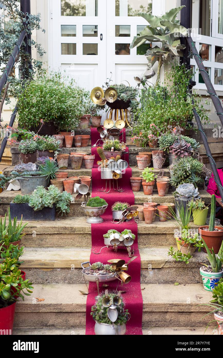 Stairs with little puppets, figurines, flowers and cactuses, arts and
