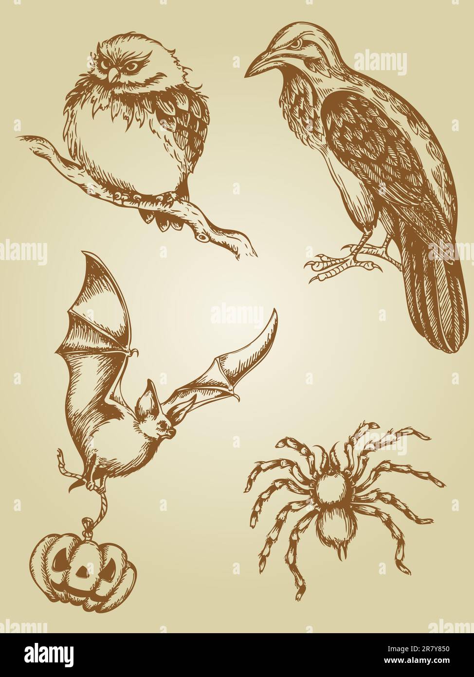 set of vector vintage hand drawn animals Stock Vector Image & Art - Alamy
