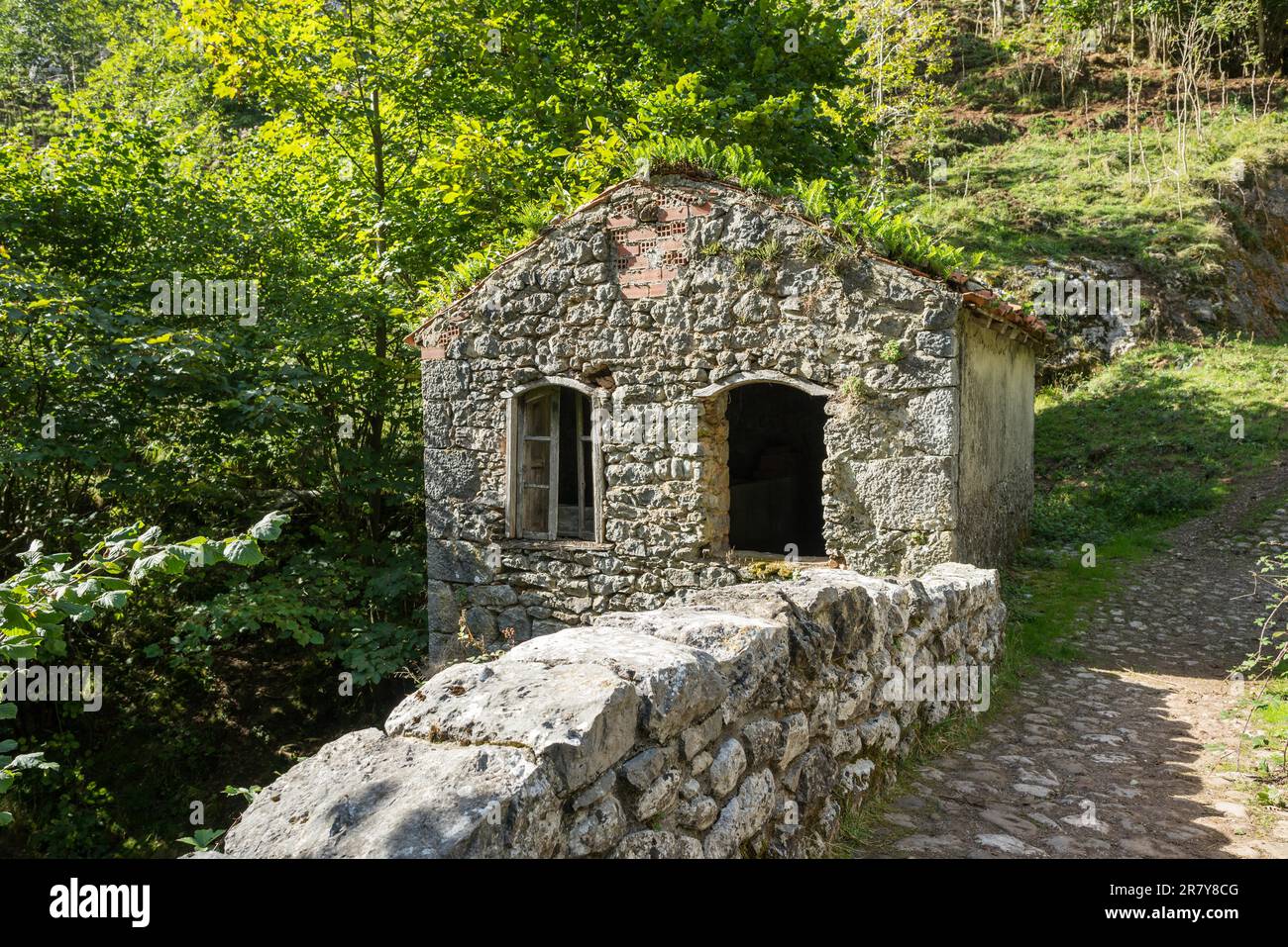 Old abandoned mill in the Rio Duje valley, situated in the Picos de Europa, Asturias Spain. The valley is wonderful for hiking and leads along the Stock Photo