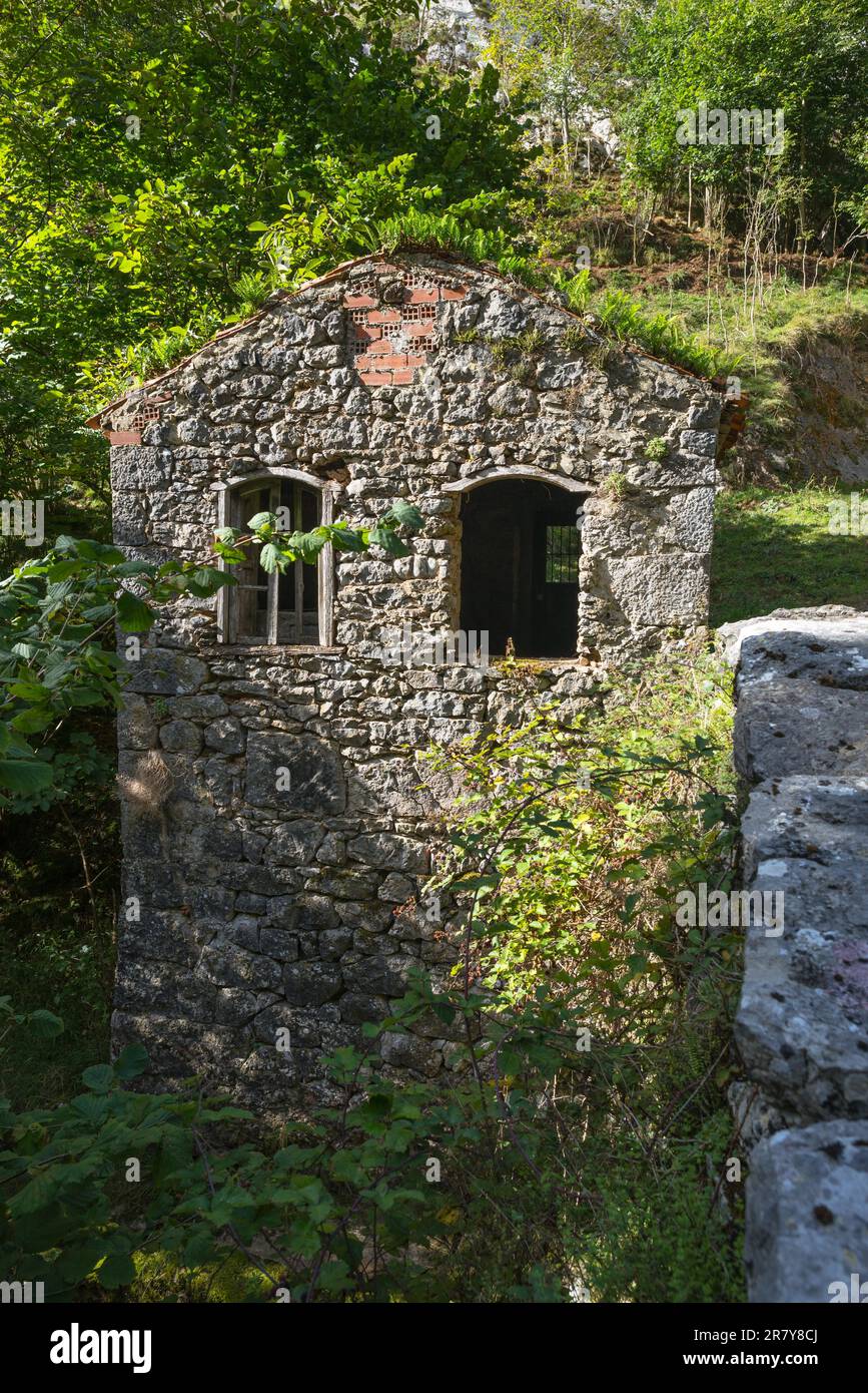 Old abandoned mill in the Rio Duje valley, situated in the Picos de Europa, Asturias Spain. The valley is wonderful for hiking and leads along the Stock Photo