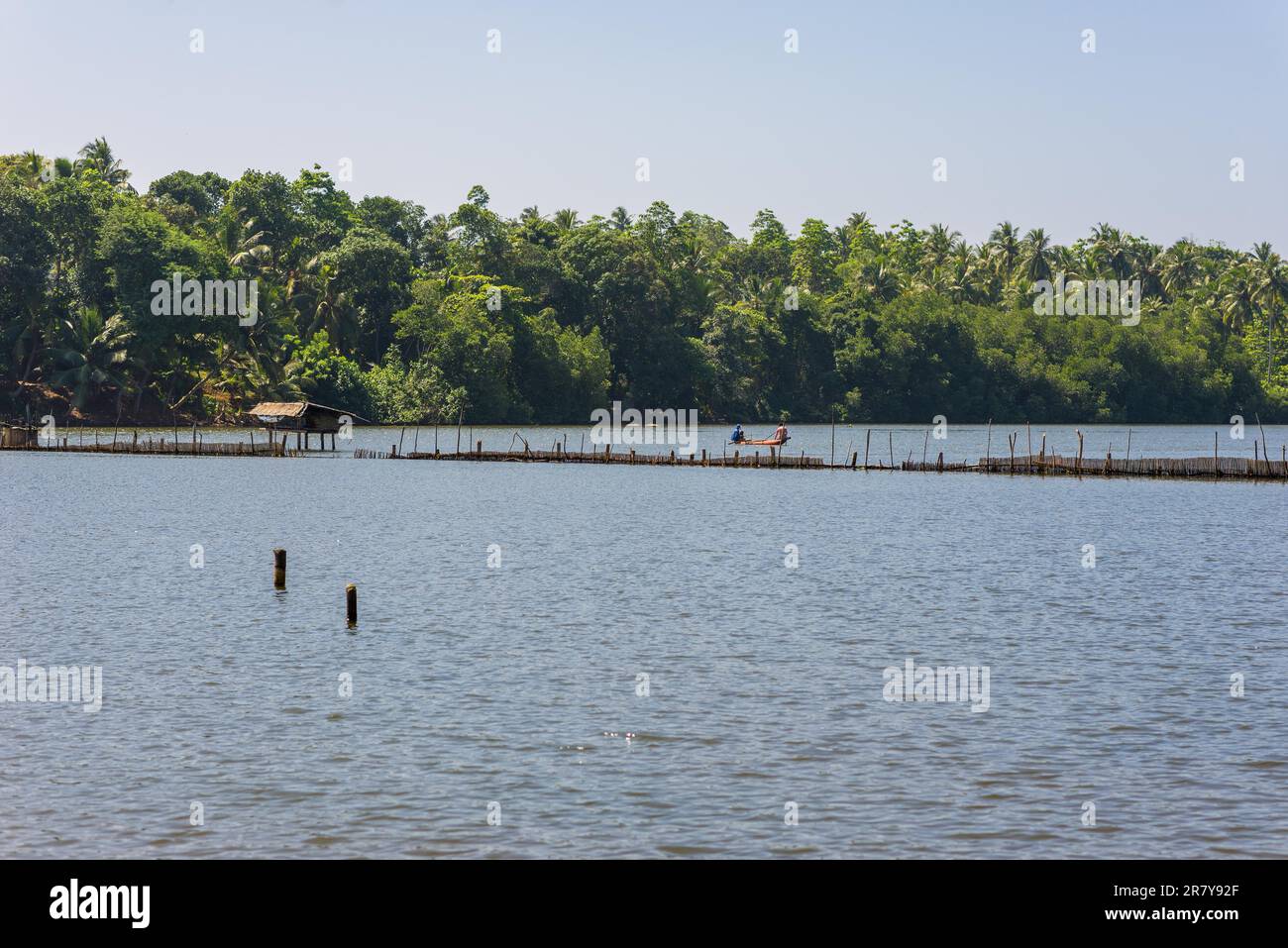 Men fishing from an outrigger canoe, in reservoir lake, Polonnaruwa,  Central Province, Sri Lanka, Asia Stock Photo - Alamy