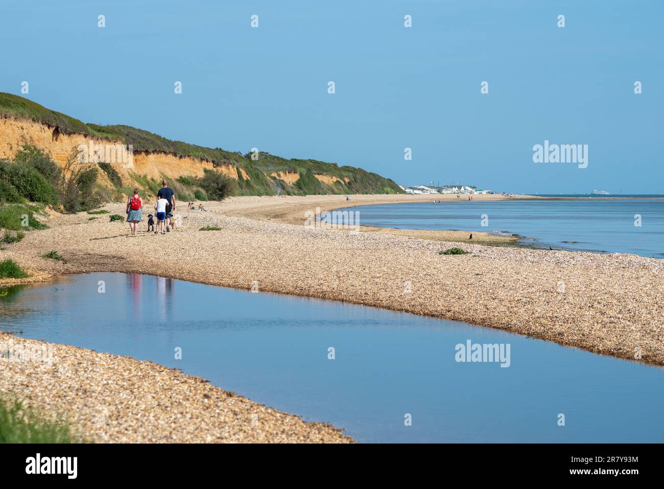Quiet English beach scene, with families walking dogs and sitting down to catch the sun. This is