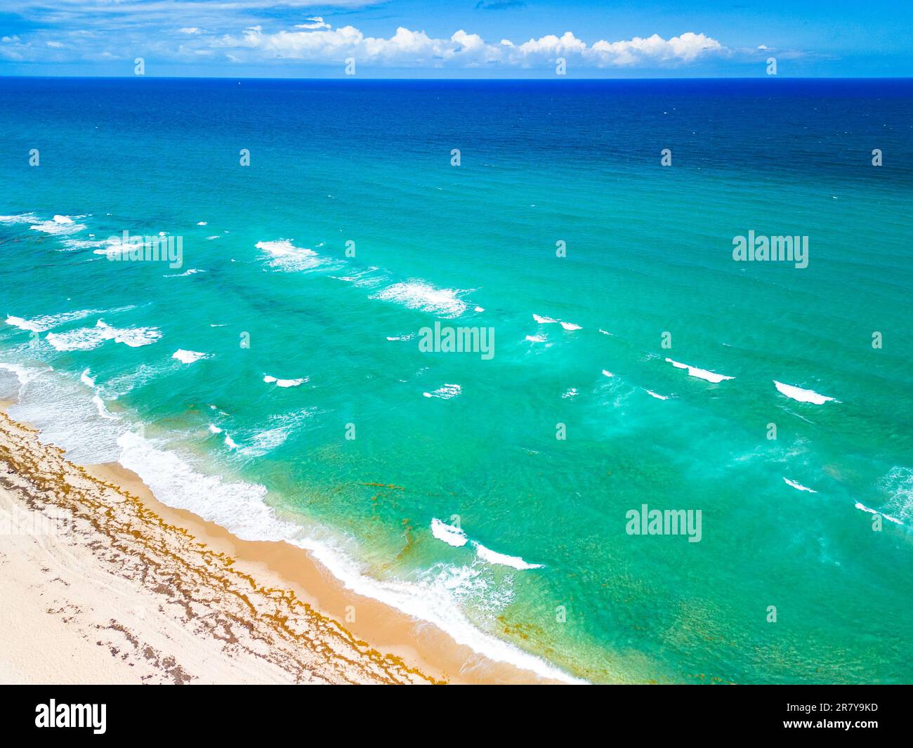 Phipps Ocean Park and Ibis Isle, West Palm Beach, Florida, USA Stock ...