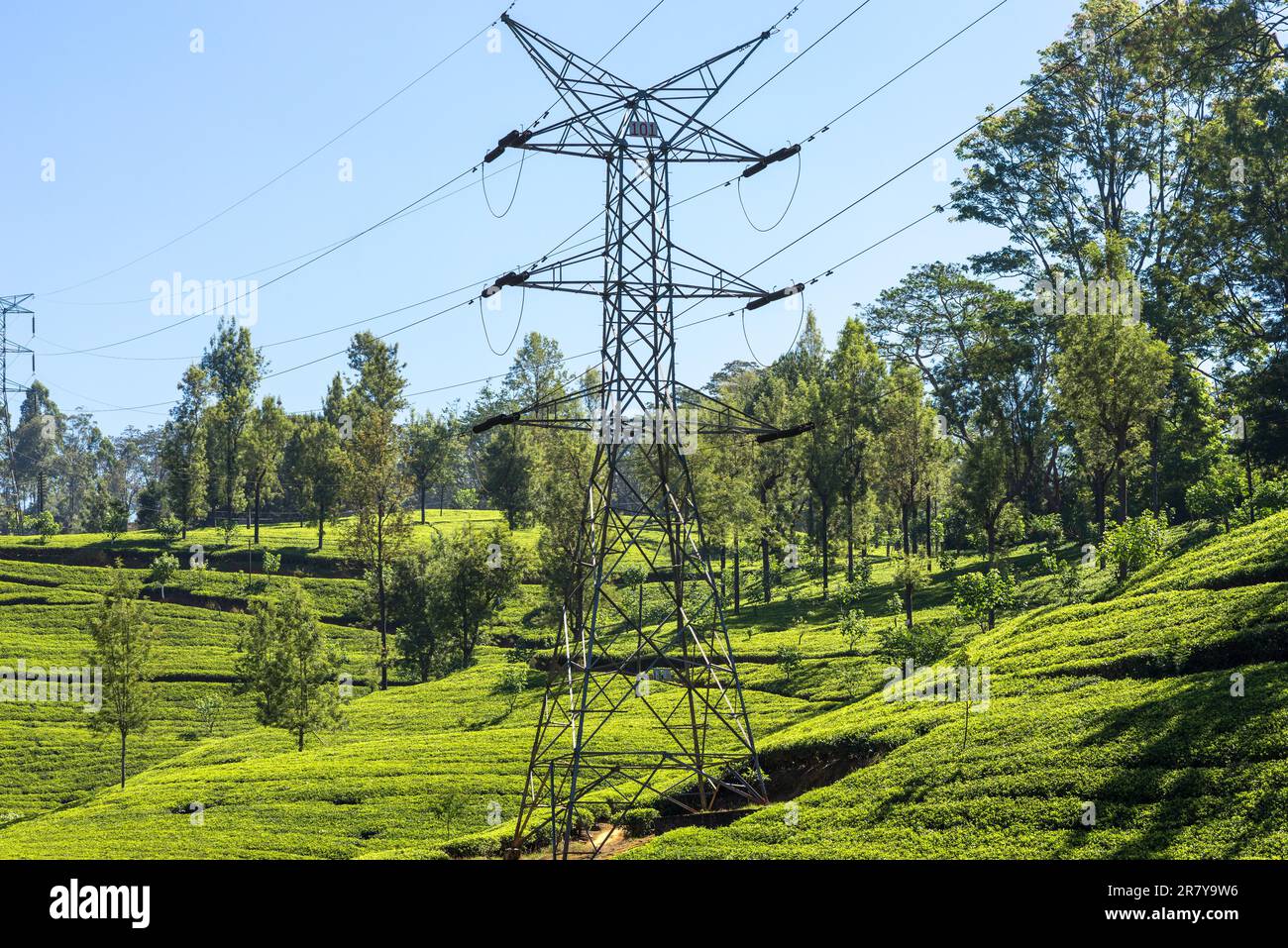 Tea plantation near the town Nuwara Eliya, approx 1900m above sea level. Tea production is on of the main economic sources of the country. Sri Lanka Stock Photo