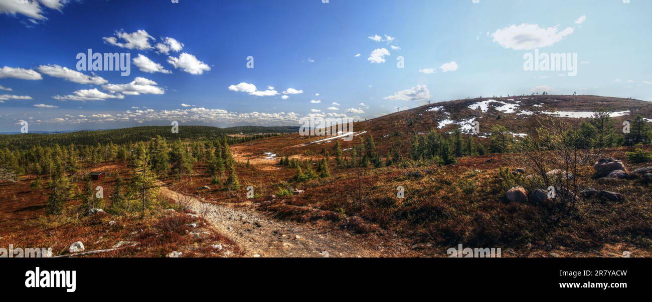 Panorama of highlands in nature reserve near Arvidsjaur in northern Sweden. Stock Photo