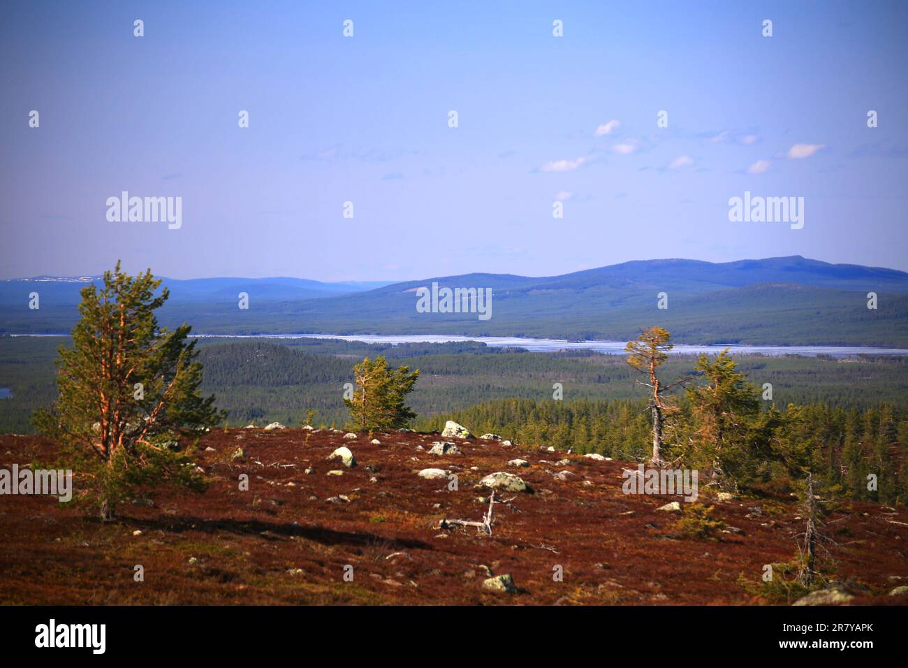 View on river near Arvidsjaur in northern Sweden. Stock Photo
