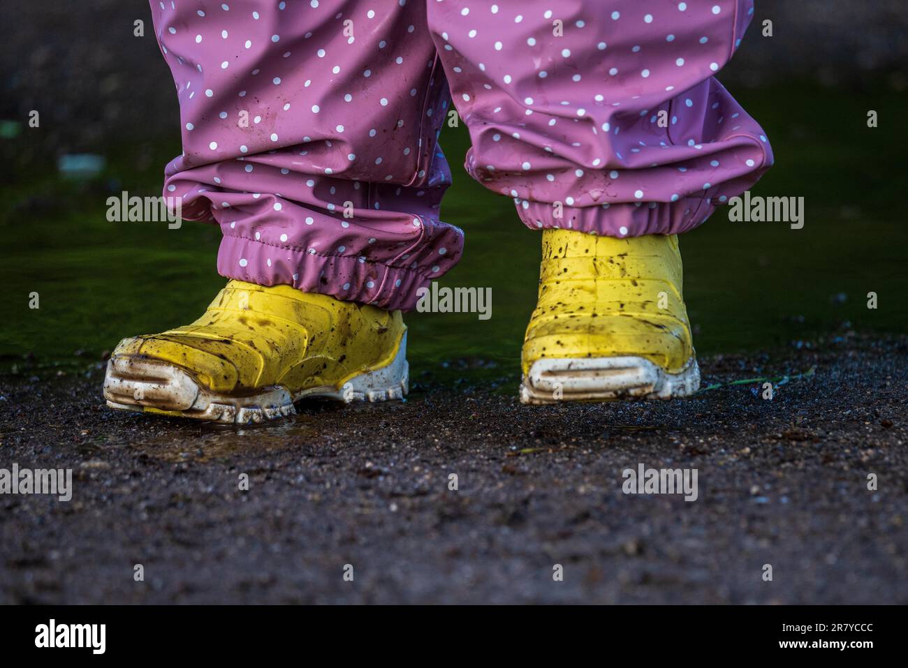 Child in yellow rubber boots splashes in a puddle Stock Photo - Alamy