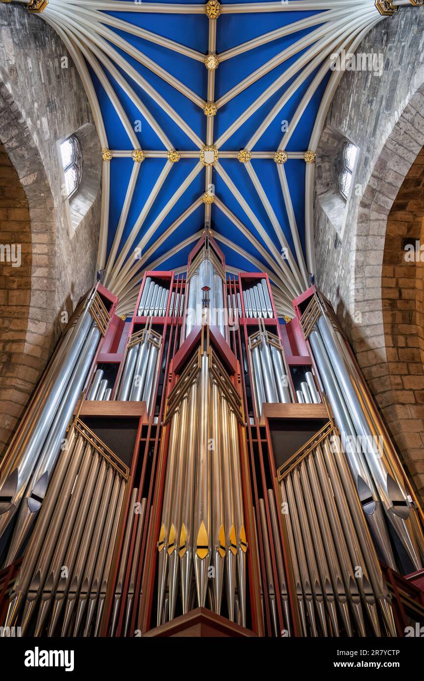 Pipe organ and tierceron vault in St. Giles Cathedral interior in Edinburgh, Scotland, UK. Musical instrument made by Rieger Orgelbau and completed in Stock Photo