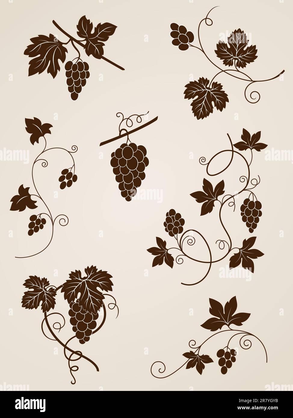 vector decorative grape vine elements for design Stock Vector Image