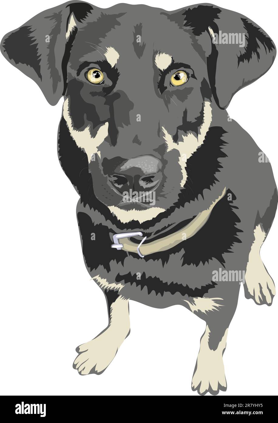 Dog posed sitting 5010x6954. Vector eps8. Separate layers Stock Vector