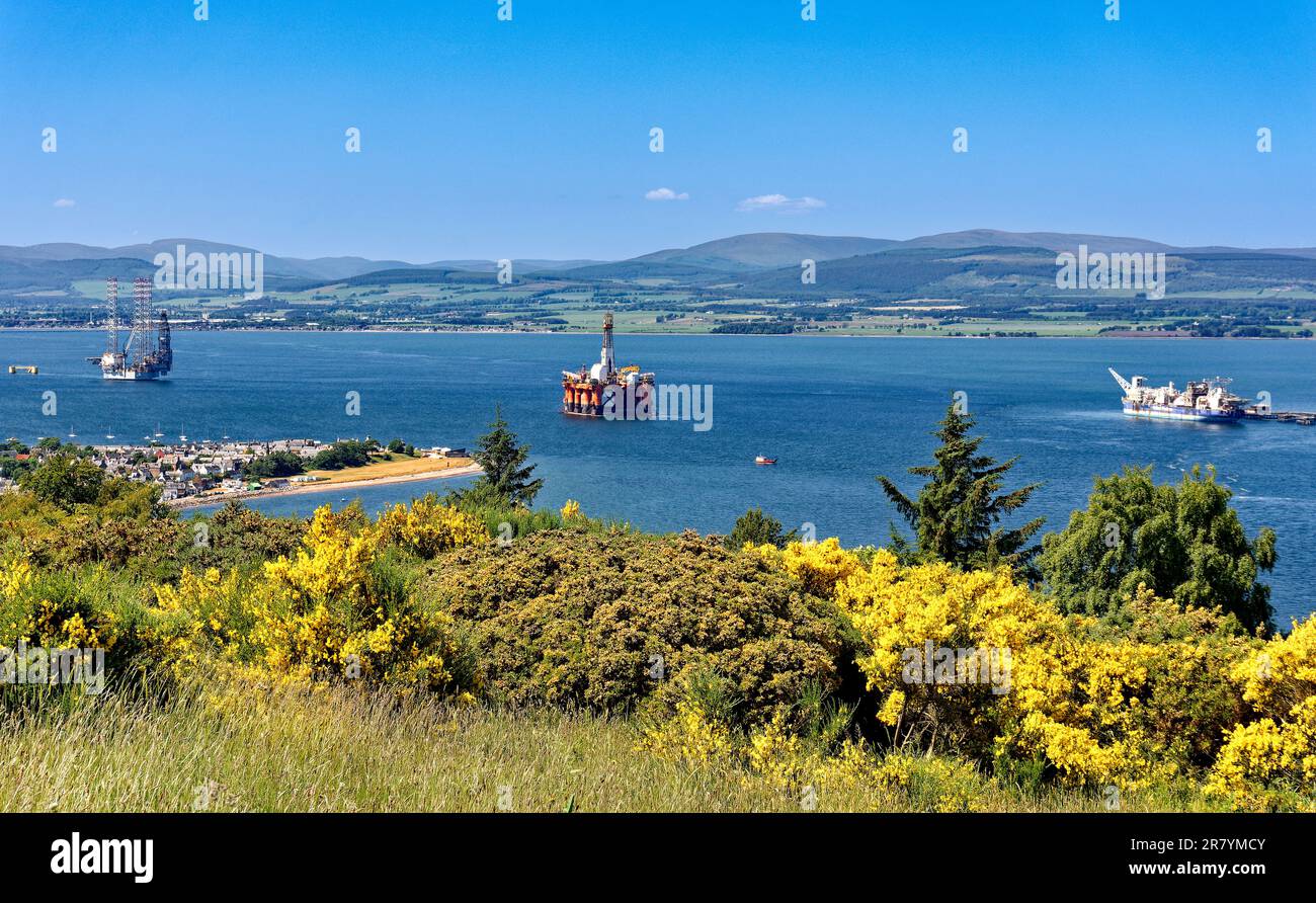 Cromarty Scotland Cromarty Firth a blue sky and sea  yellow Broom flowers and a view over the town  and oil rigs towards the hills in early summer Stock Photo