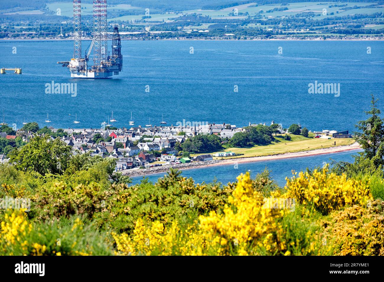 Cromarty Scotland Cromarty Firth a blue sky yellow Broom flowers and a view over the town the houses and oil rig towards the hills in early summer Stock Photo