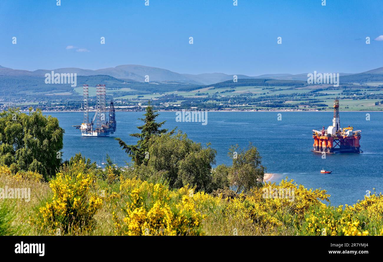 Cromarty Scotland Cromarty Firth blue sky and yellow Broom flowers and a view over and oil rigs and red Nigg Ferry towards the hills in early summer Stock Photo