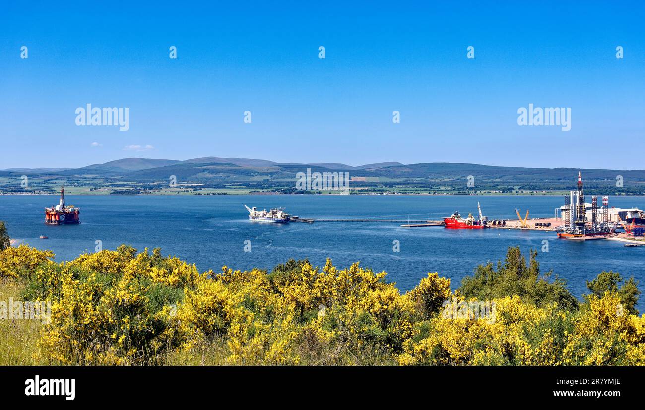Cromarty Scotland Cromarty Firth blue sky and yellow Broom flowers and a view over Nigg an orange oil rig and the hills in early summer Stock Photo