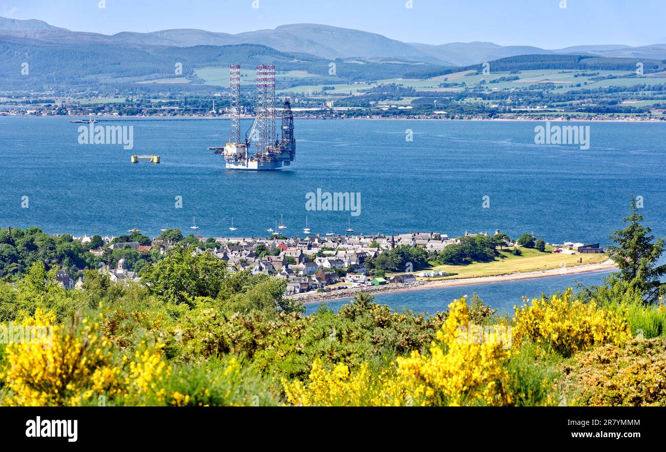 Cromarty Scotland Cromarty Firth blue sky yellow Broom flowers and a view over the town the houses and oil rig towards the hills in early summer Stock Photo