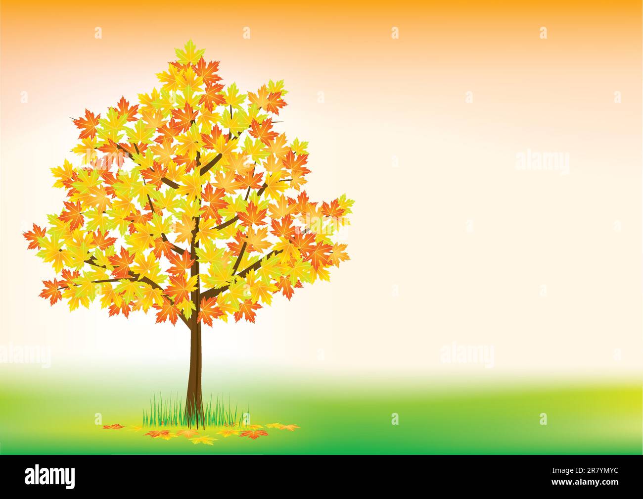Vector illustration of autumn maple Stock Vector Image & Art - Alamy
