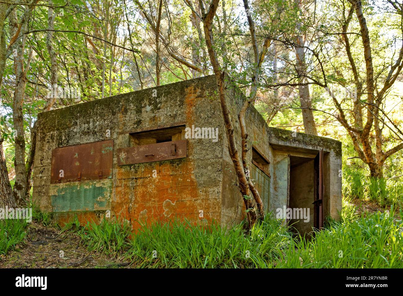 Cromarty Scotland the old World War II Pill Box along the walk on South Sutor in early summer Stock Photo