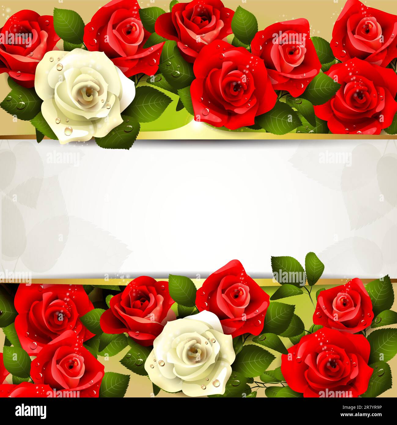 Background with red and white roses Stock Vector Image & Art Alamy