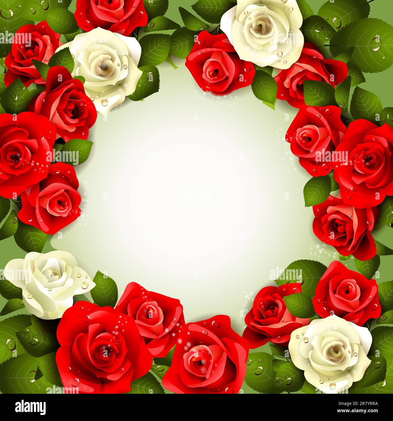 Background with white and red roses Stock Vector