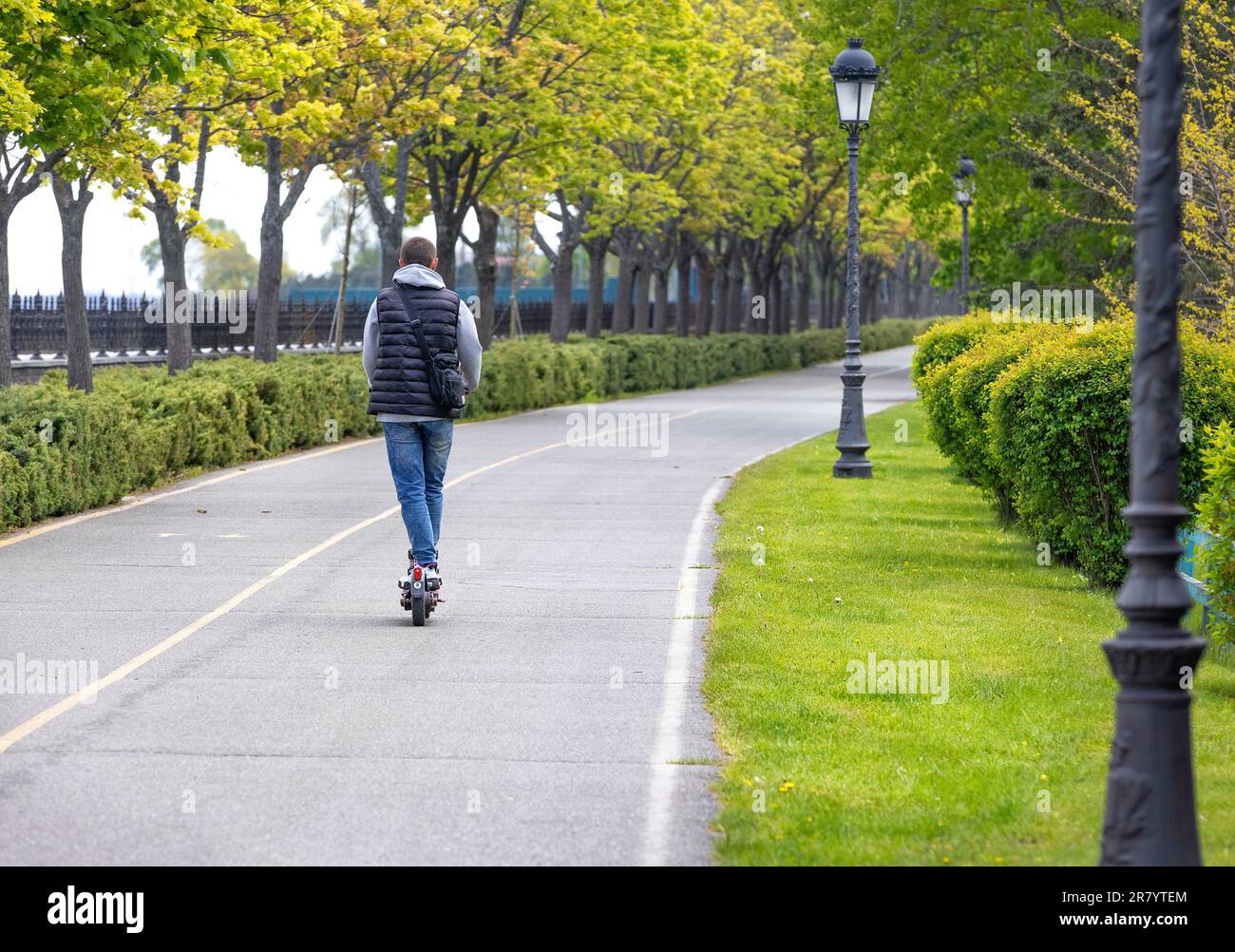 A young man is driving an electric scooter, along a spring alley outdoors on a clear day. Mobile lifestyle. View from the back. Copy space. Stock Photo