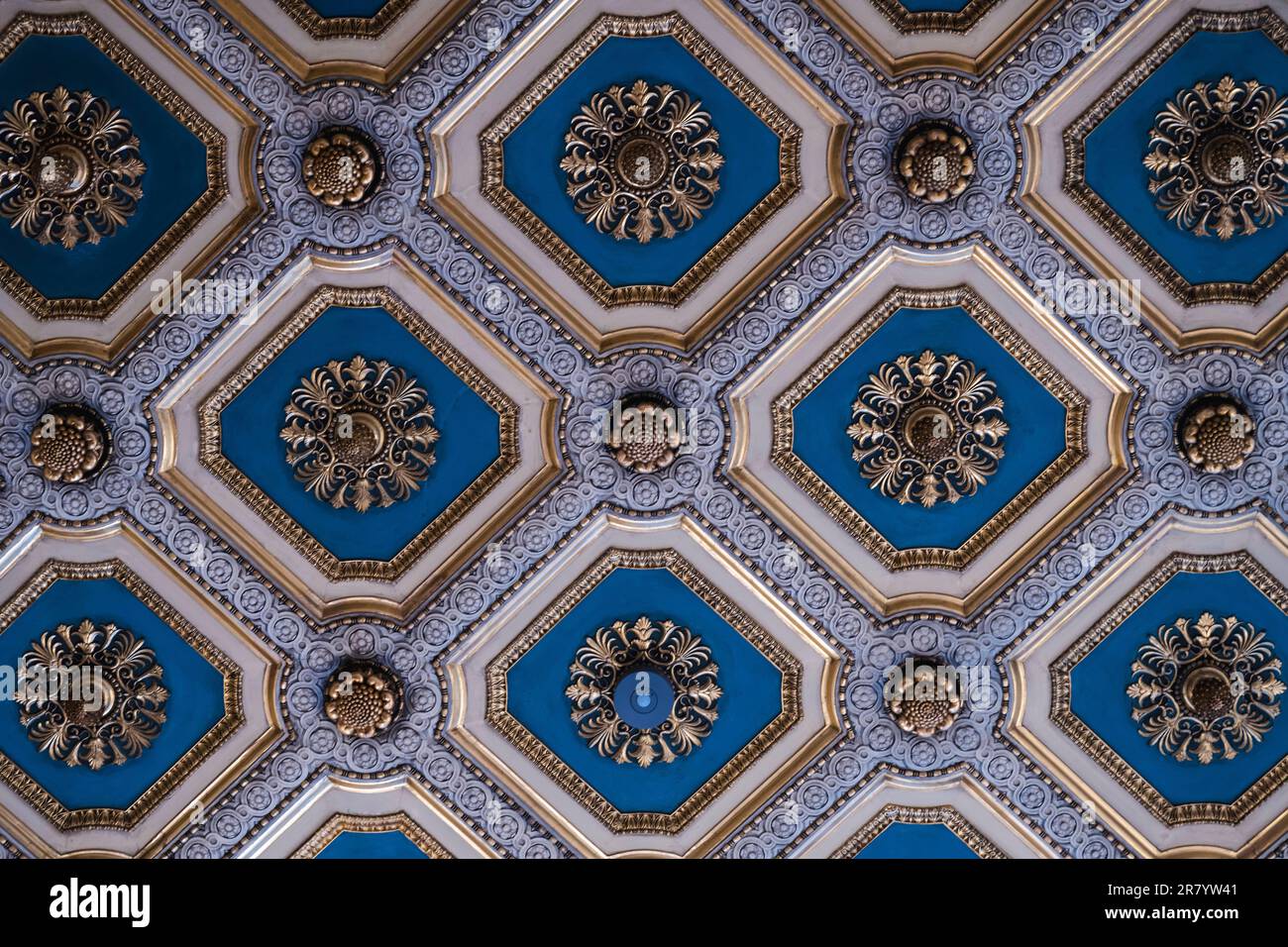 Ornate Ceiling Details Ideas photo
