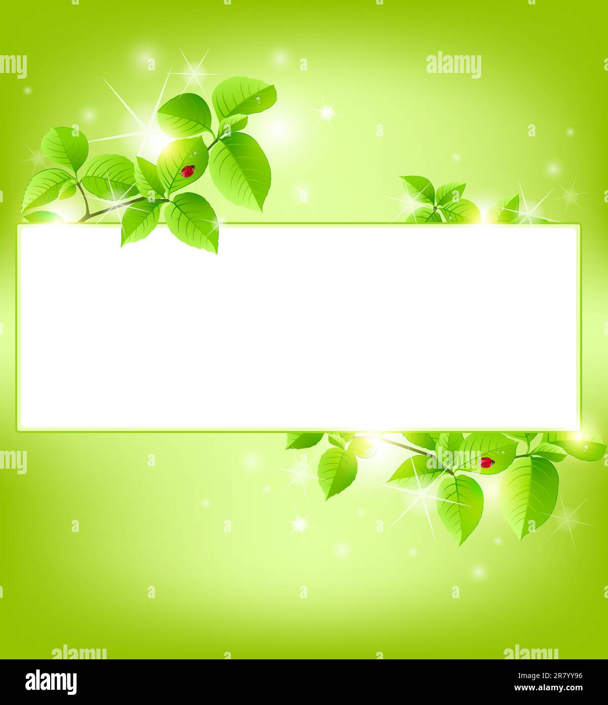 luxury shining green vector banner with leaves Stock Vector Image & Art ...
