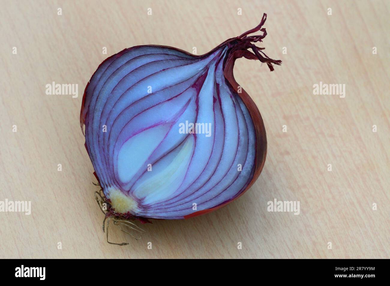 Red onion texture hi-res stock photography and images - Alamy
