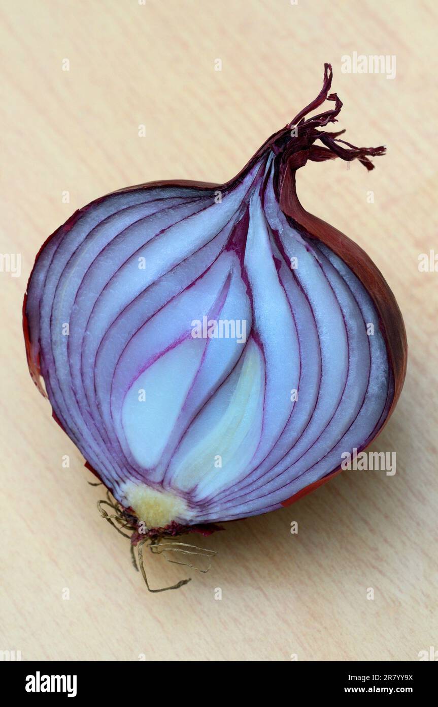 Onion texture hi-res stock photography and images - Alamy