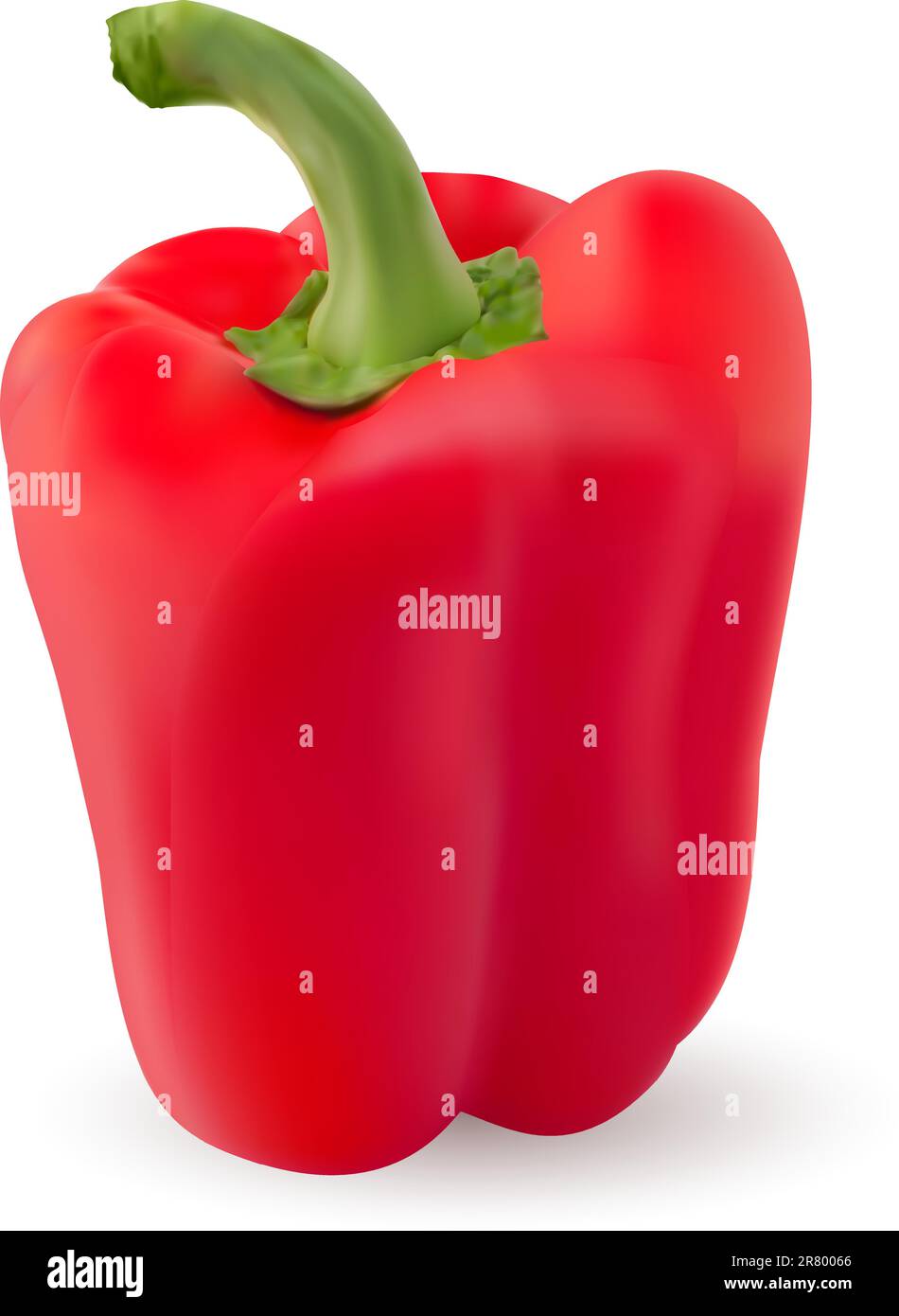 One Red pepper. Photo-realistic. Illustration on white background Stock Vector