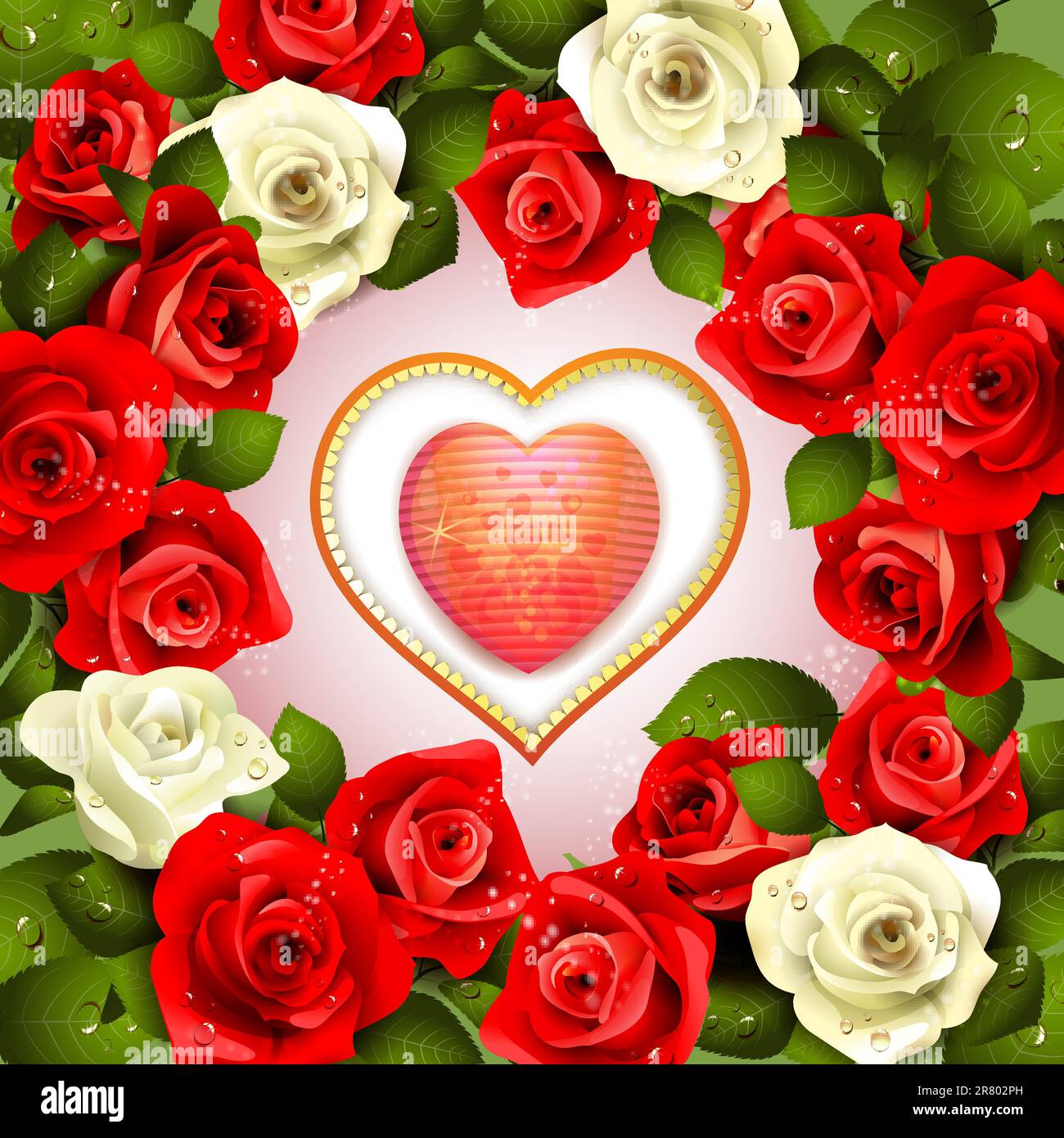 Radiant rose Stock Vector Images - Alamy